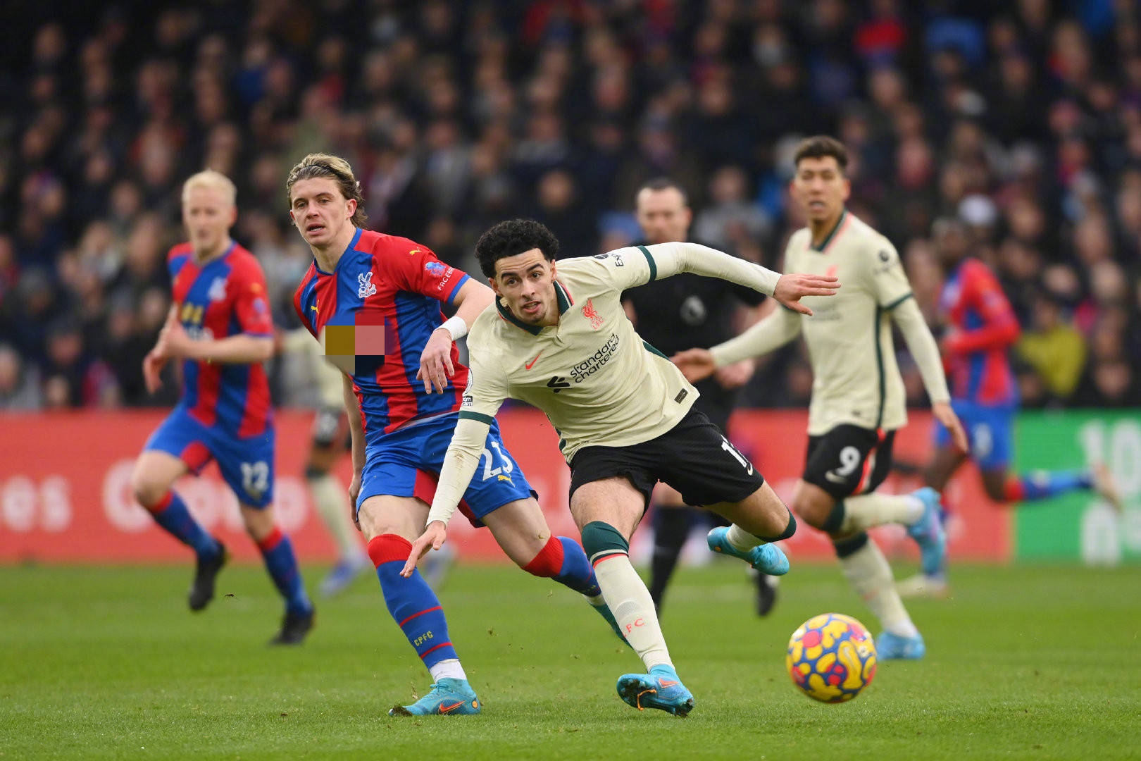 乐部头上的 乐部头上的